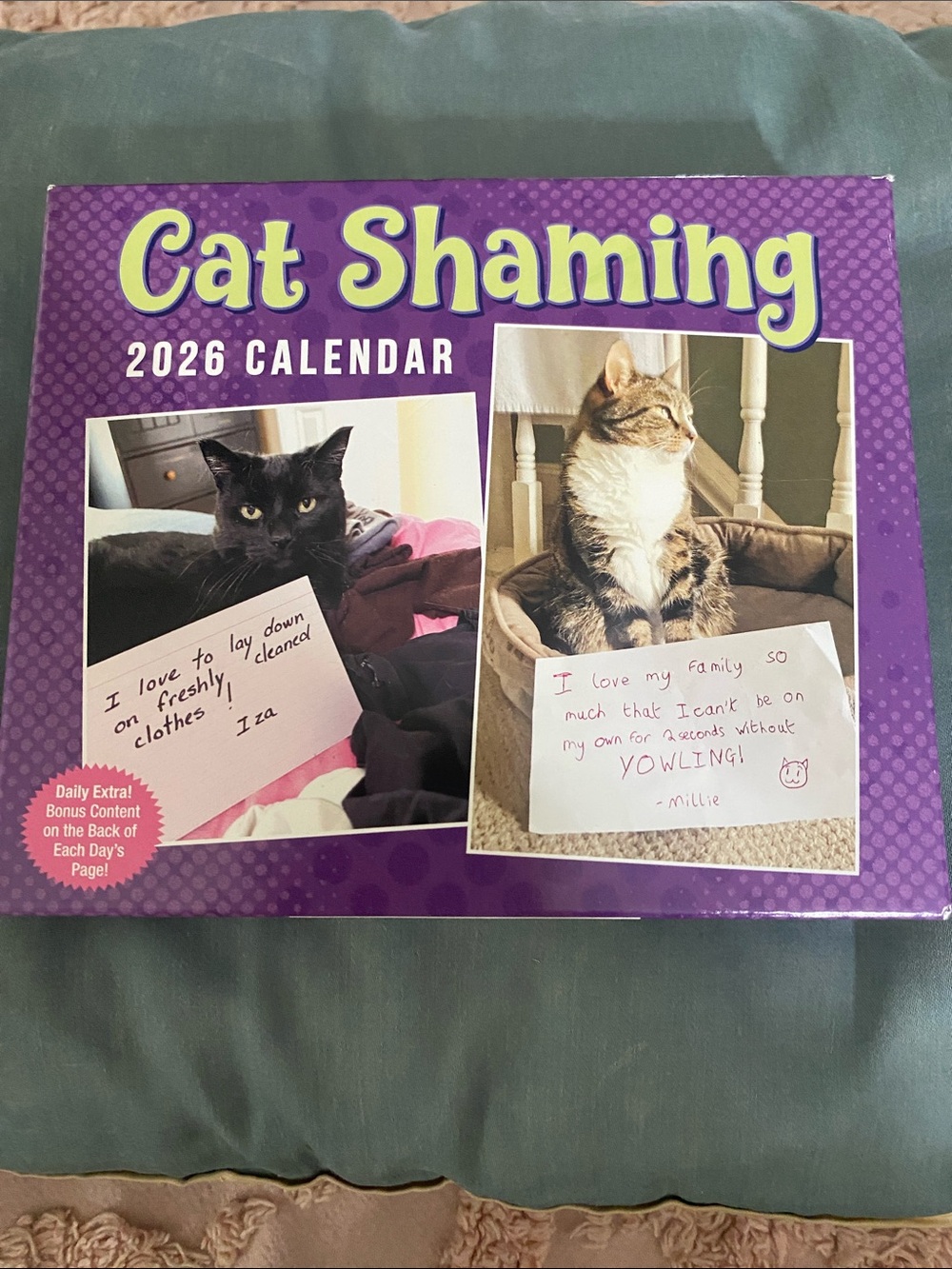 Cat Shaming 2026 Calendar - Purple